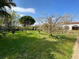 Airport Venice Diego 2