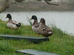 Agriturismo La Barena