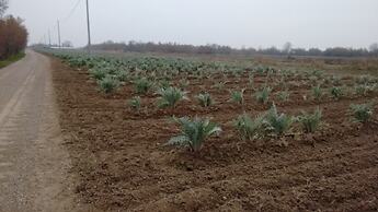 Agriturismo La Barena