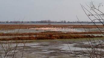 Agriturismo La Barena