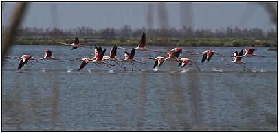 Agriturismo La Barena