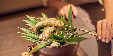 SETRE Highlandvilla HIMEJI