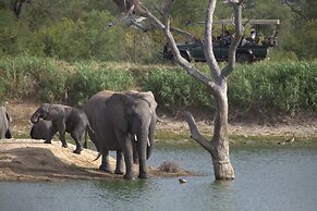 Karongwe Portfolio - Becks Safari Lodge