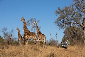 Karongwe Portfolio - Becks Safari Lodge