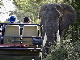 Karongwe Portfolio - Becks Safari Lodge