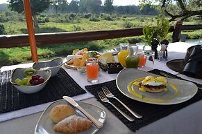 Karongwe Portfolio - Becks Safari Lodge