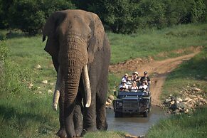 Karongwe Portfolio - Becks Safari Lodge