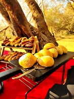 Karongwe Portfolio - Becks Safari Lodge