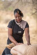 Karongwe Portfolio - Becks Safari Lodge