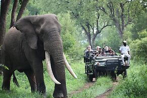 Karongwe Portfolio - Becks Safari Lodge