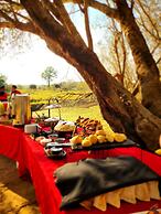 Karongwe Portfolio - Becks Safari Lodge