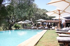 Karongwe Portfolio - Becks Safari Lodge