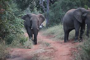 Karongwe Portfolio - Becks Safari Lodge