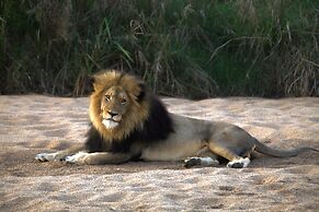 Karongwe Portfolio - Becks Safari Lodge