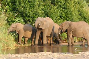 Karongwe Portfolio - Becks Safari Lodge