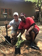 Karongwe Portfolio - Becks Safari Lodge