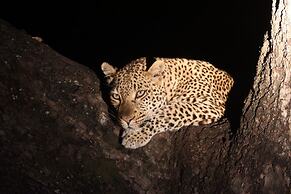 Karongwe Portfolio - Becks Safari Lodge