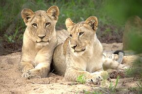 Karongwe Portfolio - Becks Safari Lodge