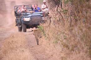 Karongwe Portfolio - Becks Safari Lodge