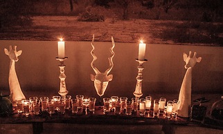 Karongwe Portfolio - Becks Safari Lodge