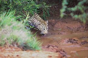 Karongwe Portfolio - Becks Safari Lodge