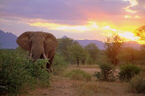 Karongwe Portfolio - Becks Safari Lodge