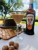 Karongwe Portfolio - Becks Safari Lodge