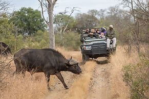 Karongwe Portfolio - Becks Safari Lodge