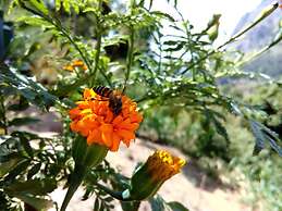 Mount Blue View Guest Inn Ella