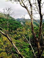 Mount Blue View Guest Inn Ella