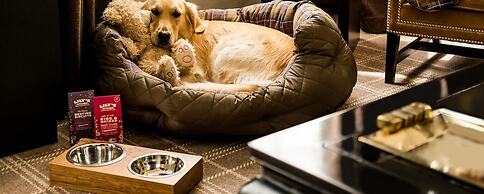 Mini Golf & Resort Ubon Ratchathani