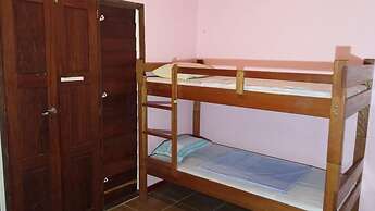 Bluepango Guest House - Hostel