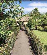 Volcano Island Paradise