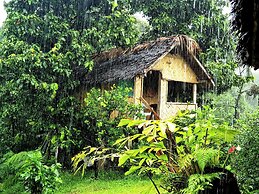 Volcano Island Paradise