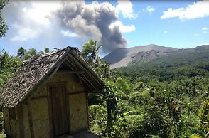 Volcano Island Paradise