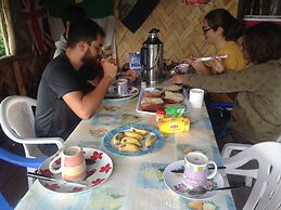 Volcano Island Paradise