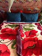 Volcano Island Paradise