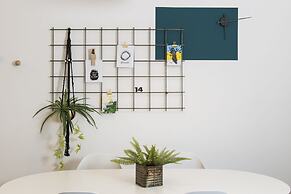 Mr. Brooklyn - By TLV2GO