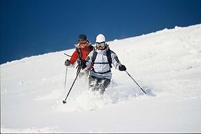 Hotel & Alpin Lodge Der Wastlhof