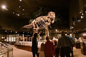 SpringHill Suites by Marriott Bozeman