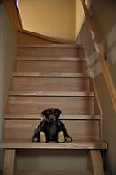 GUESTHOUSE KYOTO MICaSA