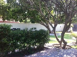 Cosy Palms Guest House