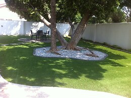 Cosy Palms Guest House