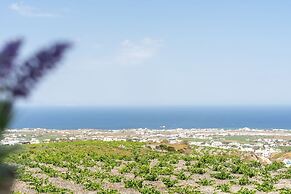 Ampelos Executive Houses