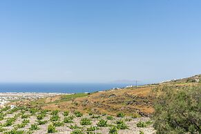 Ampelos Executive Houses