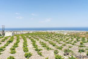 Ampelos Executive Houses