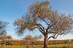 Agricampeggio Maccari