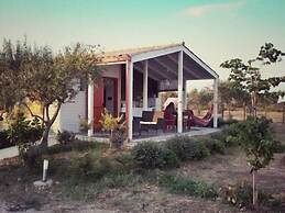 Agricampeggio Maccari