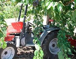 Agricampeggio Maccari