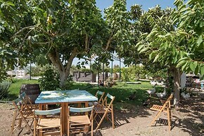 Agricampeggio Maccari